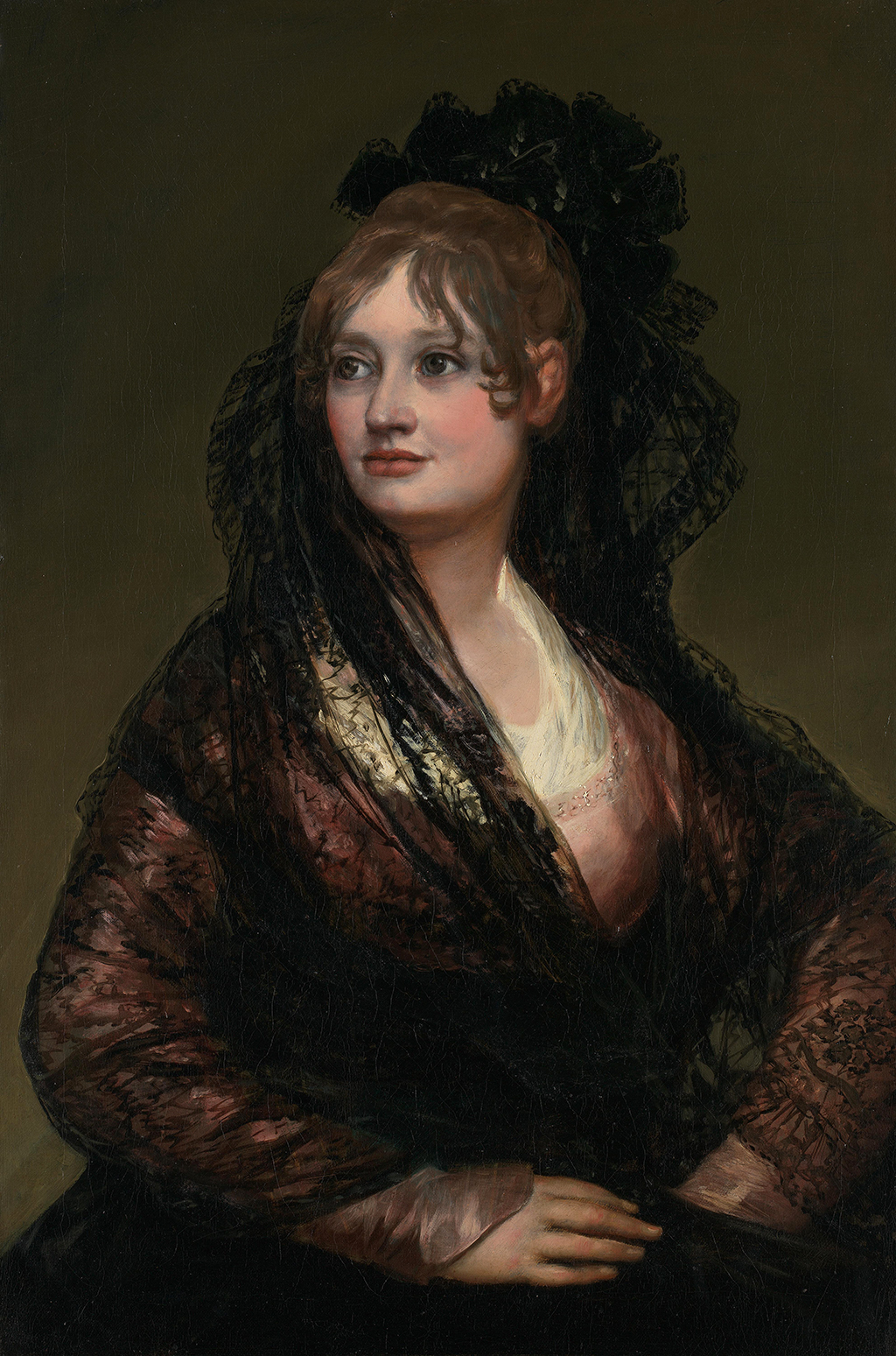 Portrait of Doña Isabel de Porcel in Detail Francisco de Goya